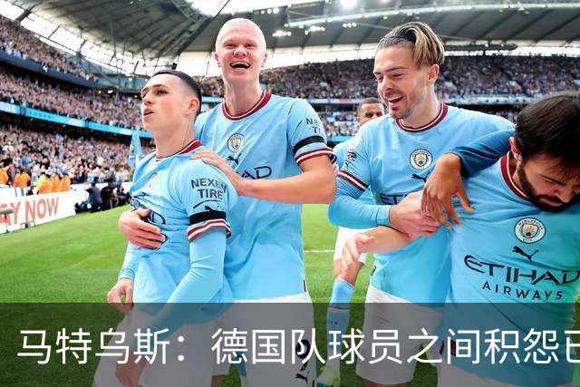 马特乌斯：德国队球员之间积怨已久 一些人的家人可以享受特权